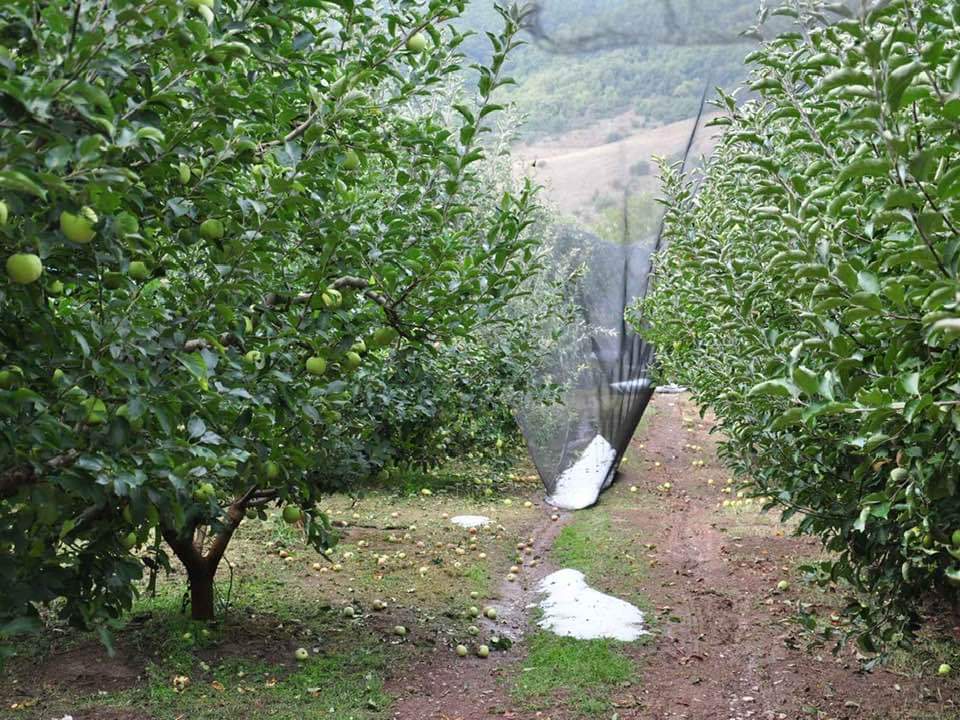 FB_IMG_1695794565218